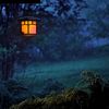 michael_medhat1