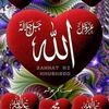 salmahussein671