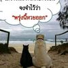 user93991601801983