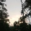 esseruttcincau