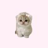 nauucuutiee_