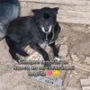 mi_negrita136