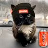 jack_tresk