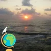sounasouna694