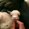 fatimaalhadie07