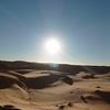 rosedesert82