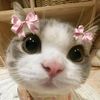 mynaebfy