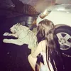 squrr_rt