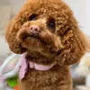 toypoodle.penelope