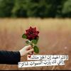 user2468183810946