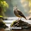 myrzik_myrzikovic