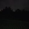 noname19000000