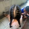 pattharawan_11