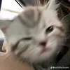 bbi.namphuongg
