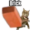 capybara5808