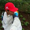 green_garden2