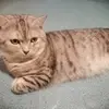jenirome.jeni