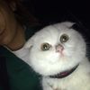 kzmc.hatice60