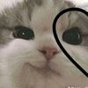 chirrrytta