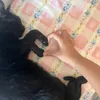 ftimamirapeixegui