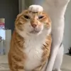l_o96i