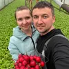 ОВОЩИ ОГОРОДНИКИ🍓🍅🥒
