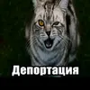 kokosik022335
