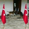 mustafa.gucuk1