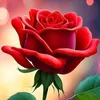 omarali51560