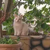 zazatagadirfati