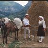 Bageti e Bujqesi