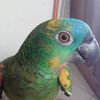 userneronclaracha