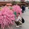 hongta973