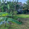 rosid0269
