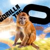 _monkevr_10