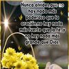 angelyca38