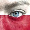 sedno_pl