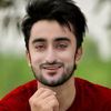 safdar.tarkhan