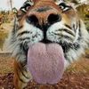 amirulboboy8