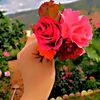 samiha.104