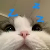 gialinhh207