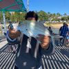 aussie_fisho0