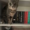 .booksnthings