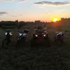 robzi_738
