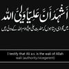 usama51214720