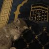 just._maryamm
