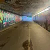 unknownlezit