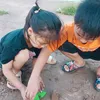 thng4227