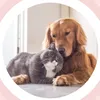 My Friends Dog Vs My Dog 🐕