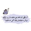 habebamasoad